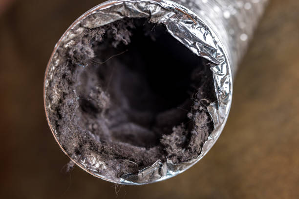 Best Affordable Air Duct Cleaning  in Magnolia Springs, AL